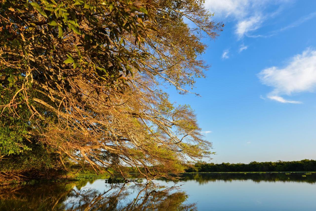 Pousada Rio Claro Poconé Exterior foto